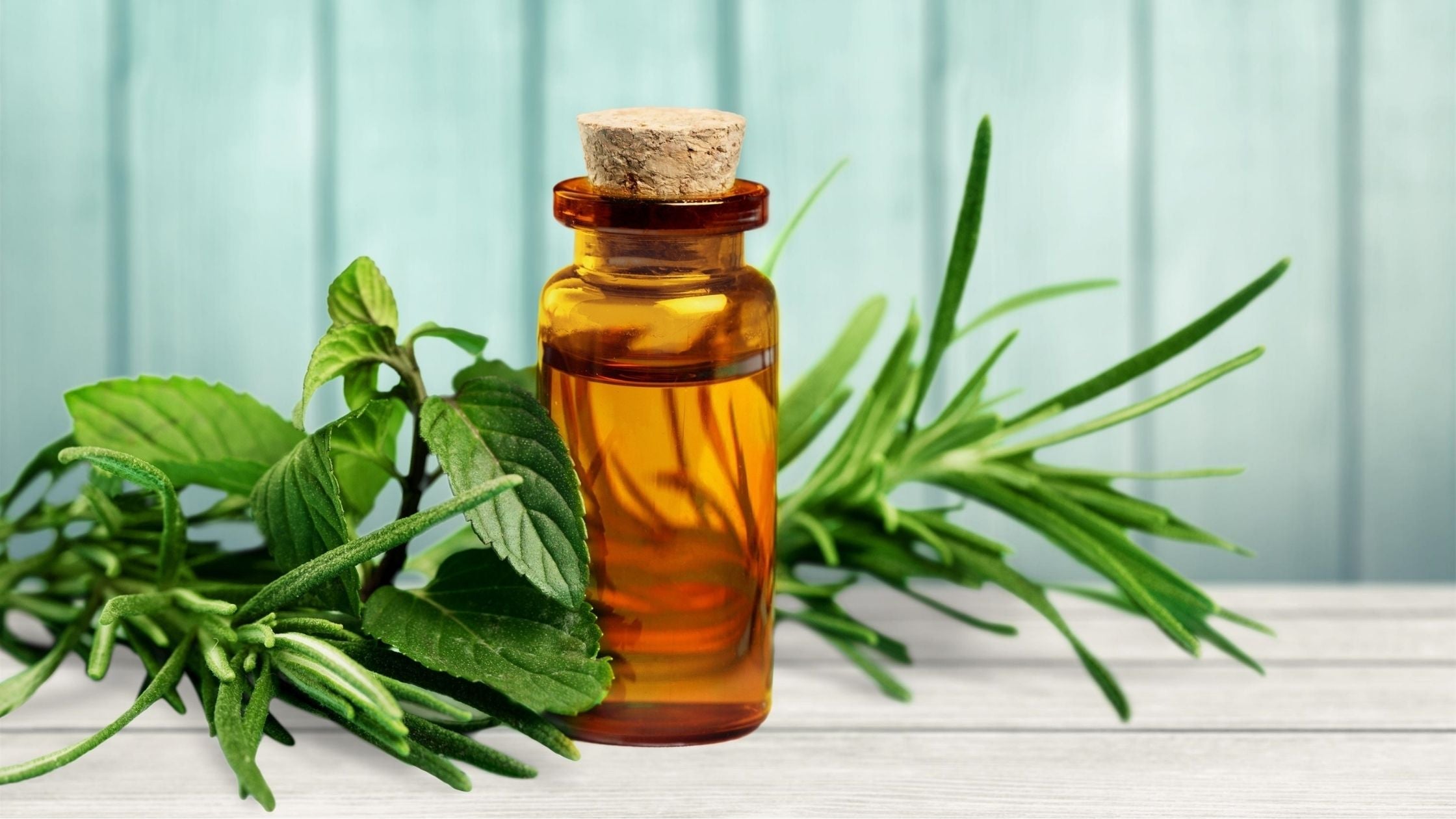 Tea Tree Oil for Acne: Does It Work and How to Use It Safely