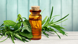 How To Treat Acne Using Tea Tree Oil